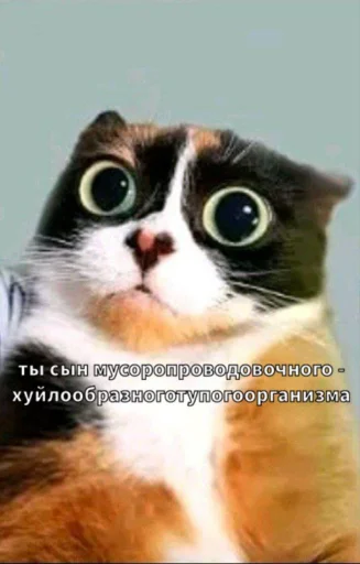 🤩 Стикер «Майонез» для Telegram