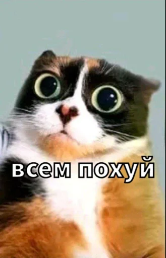 🤩 Стикер «Майонез» для Telegram