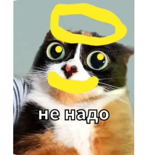🐱 Стикер «Майонез» для Telegram