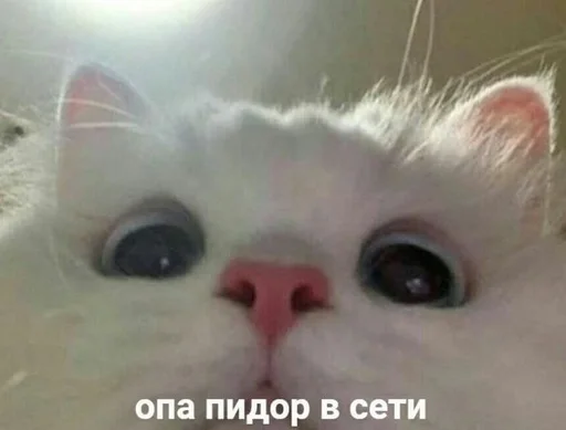 😶 Стикер «токсик» для Telegram
