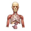 🤩 Эмодзи «med» для Telegram