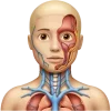 🤩 Эмодзи «med» для Telegram