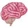 🧠 Эмодзи «💊Медицинские иконки для врачей» для Telegram