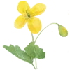 🌼 Эмодзи «Цветы Растения Звери» для Telegram