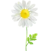 🌼 Эмодзи «Цветы Растения Звери» для Telegram