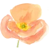 🌸 Эмодзи «Цветы Растения Звери» для Telegram
