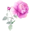 🌹 Эмодзи «Цветы Растения Звери» для Telegram