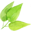 🌿 Эмодзи «Цветы Растения Звери» для Telegram