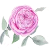 🌹 Эмодзи «Цветы Растения Звери» для Telegram