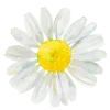 🌼 Эмодзи «Цветы Растения Звери» для Telegram