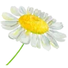 🌼 Эмодзи «Цветы Растения Звери» для Telegram