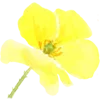 🌼 Эмодзи «Цветы Растения Звери» для Telegram