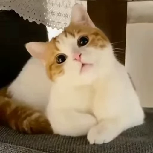 ☺️ Стикер «Музыка» для Telegram