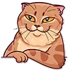 😌 Эмодзи «Memcat» для Telegram
