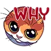 😳 Эмодзи «Memcat» для Telegram