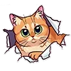 🫥 Эмодзи «Memcat» для Telegram