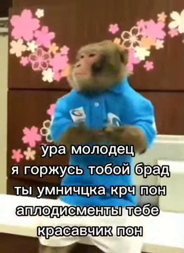 👏 Стикер «Кому то плоха» для Telegram