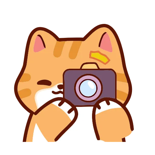 🐱 Эмодзи «Meme Cat» для Telegram