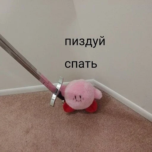 😴 Стикер «коты и мемы» для Telegram
