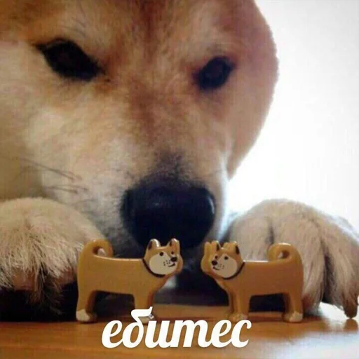 😀 Стикер «мемосяндры» для Telegram