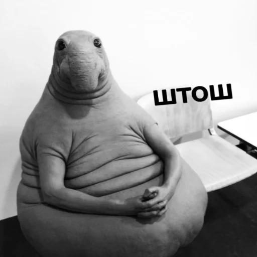 Стикерпак Мэмчики для Telegram — скачать
