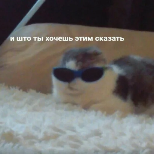 🧐 Стикер «Мэмчики» для Telegram