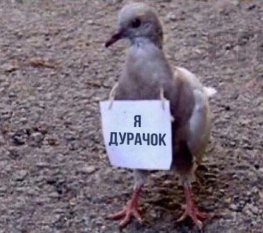 👍 Стикер «Овощное рагу» для Telegram