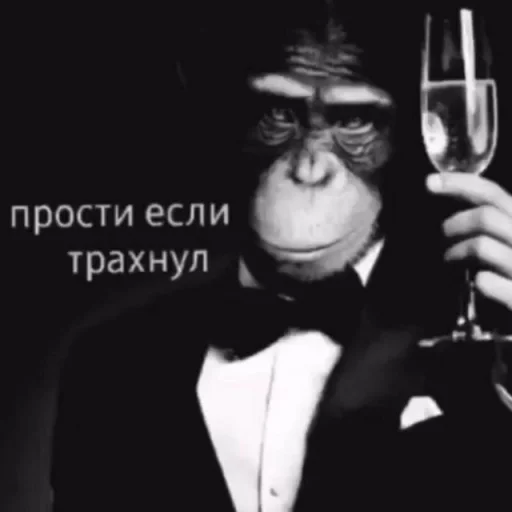Стикерпак Мемные мемы для Telegram — скачать