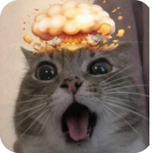 🤯 Стикер «Котомем.» для Telegram