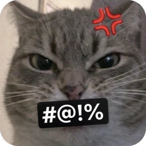 🤬 Стикер «Котомем.» для Telegram