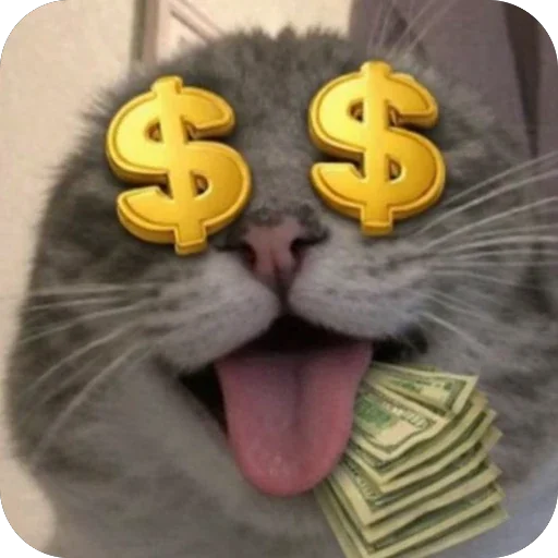🤑 Стикер «Котомем.» для Telegram