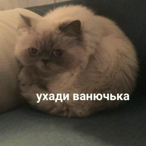 Стикерпак Мемы для АуТиСтОв для Telegram — скачать