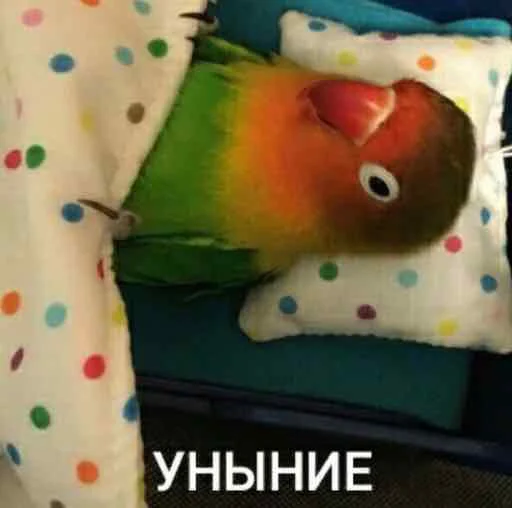 😢 Стикер «мєми про жівотних» для Telegram