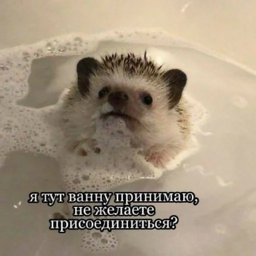 ❤️ Стикер «Man and love» для Telegram