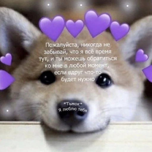 ❤️ Стикер «Man and love» для Telegram