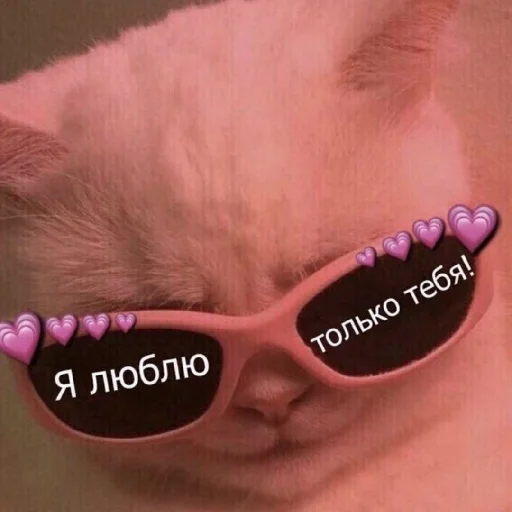 ❤️ Стикер «Man and love» для Telegram