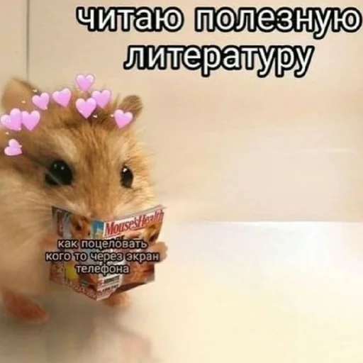 ❤️ Стикер «Man and love» для Telegram