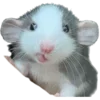 🐭 Эмодзи «😄 vibe random» для Telegram