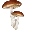 🥺 Эмодзи «😄 vibe random» для Telegram
