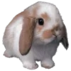 🐰 Эмодзи «😄 vibe random» для Telegram