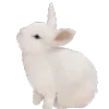 😛 Эмодзи «😄 vibe random» для Telegram
