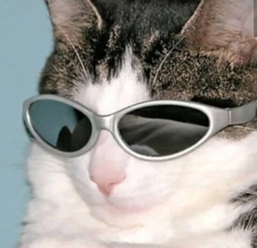😎 Стикер «kucingnya dante» для Telegram