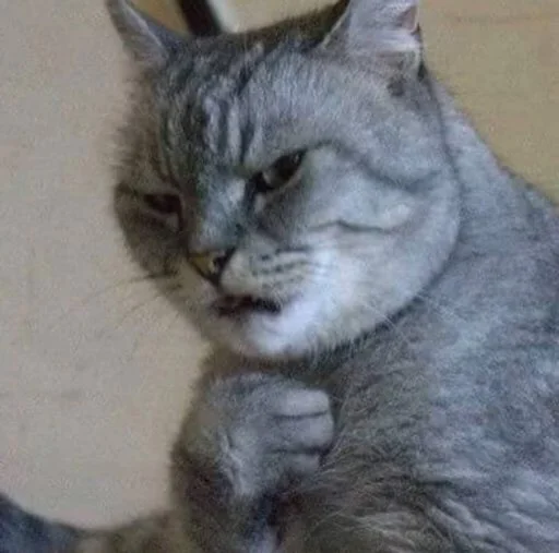 🥴 Стикер «kucingnya dante» для Telegram
