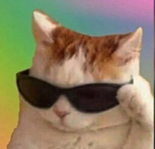 😎 Стикер «kucingnya dante» для Telegram