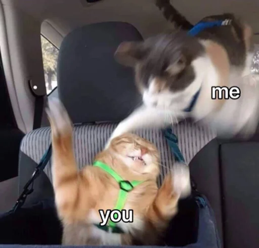 😡 Стикер «kucingnya dante» для Telegram