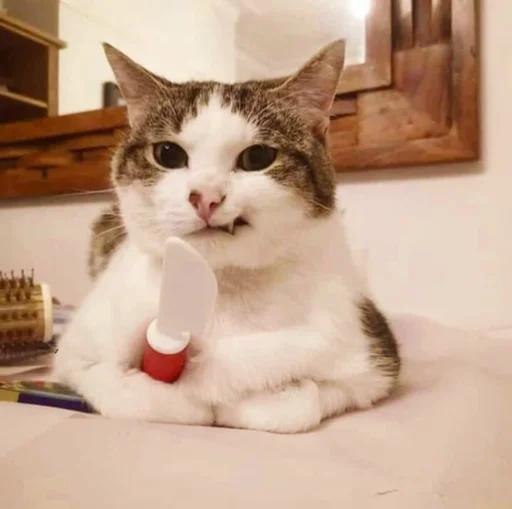 🔪 Стикер «kucingnya dante» для Telegram