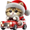 🚗 Эмодзи «Новогодний котик» для Telegram
