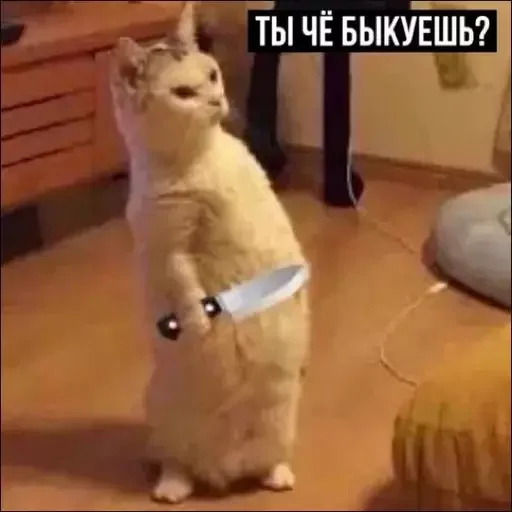 🦁 Стикер «Миу боты» для Telegram