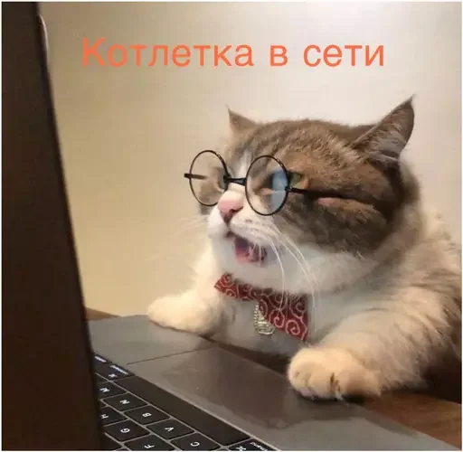 🍗 Стикер «Миу боты» для Telegram