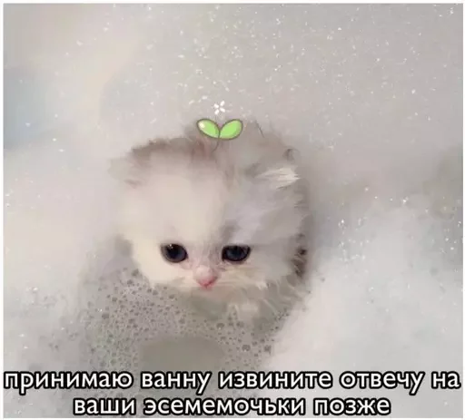 🛀 Стикер «Миу боты» для Telegram